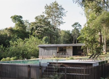 Blanca, Byron Bay Hinterland-02