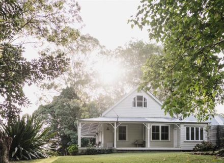 Blanca, Byron Bay Hinterland-08
