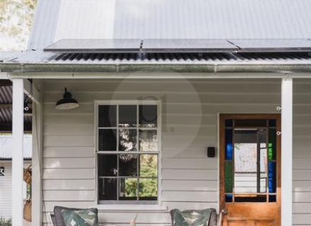 Blanca, Byron Bay Hinterland-10
