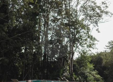 Blanca, Byron Bay Hinterland-17