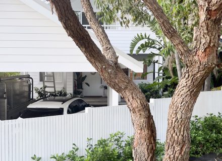 Blanco, Avalon Beach_34