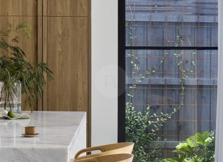 Blue Mallee, Malvern East - 11