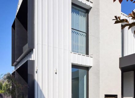 Blue Mallee, Malvern East - 25