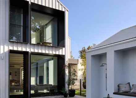 Blue Mallee, Malvern East - 27