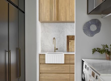 Blue Mallee, Malvern East - 30