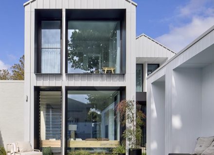 Blue Mallee, Malvern East - 8