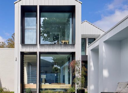 Blue Mallee, Malvern East - 8