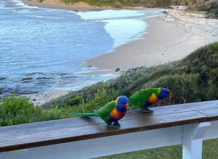 Bluecrush, Ulladulla-15