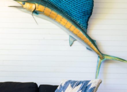 Bluefin, Freshwater-31
