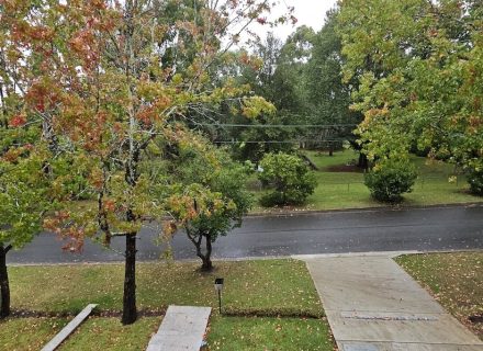 Boden Place, Wahroonga12