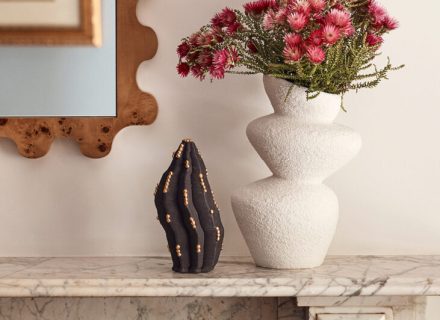 Bowerbird, Mosman_9