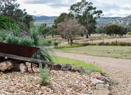 garden established