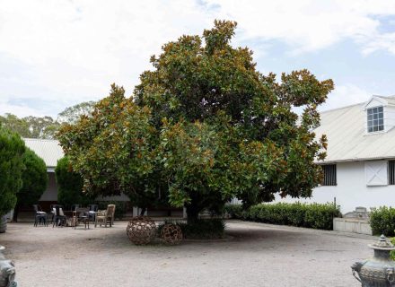 Bridlewood, Freemans Reach-01