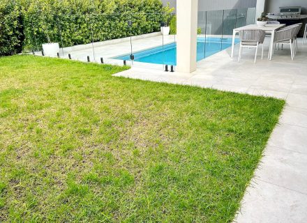 backyard pool
