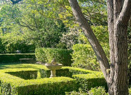 garden established