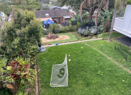 backyard garden established pool