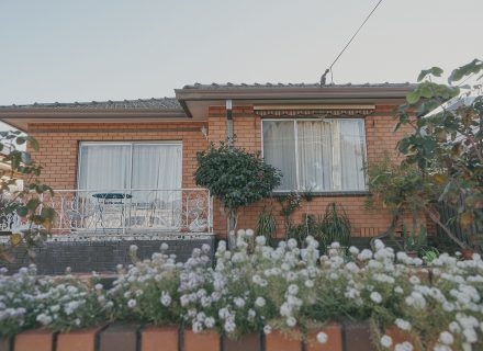 garden established