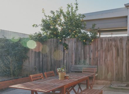Burnt Sugar, Coburg-15