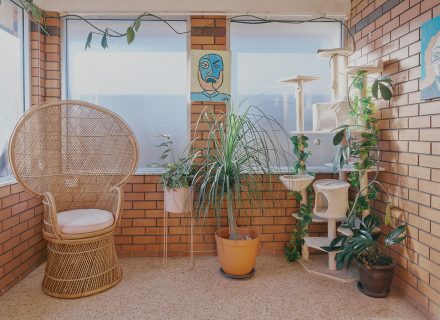 Burnt Sugar, Coburg-22