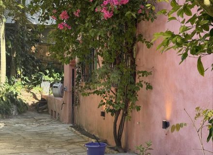 CASA ROSA10 FLOWERED WALL