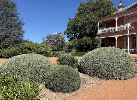 CHARTWELL ESTATE, BOWRAL11