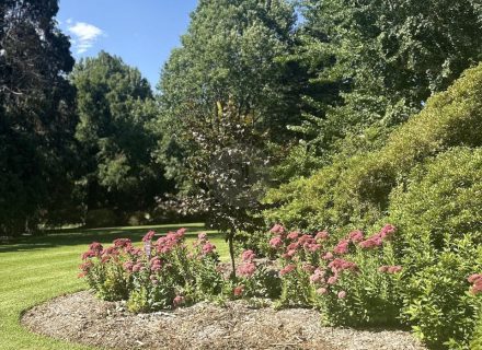 CHARTWELL ESTATE, BOWRAL152