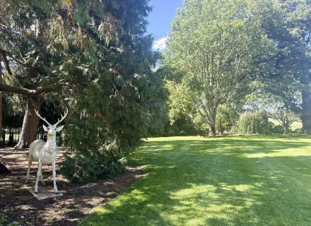 CHARTWELL ESTATE, BOWRAL154