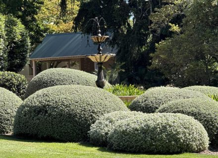 CHARTWELL ESTATE, BOWRAL159