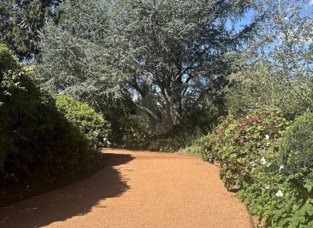 CHARTWELL ESTATE, BOWRAL165