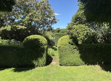 CHARTWELL ESTATE, BOWRAL171