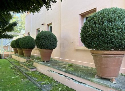 CHARTWELL ESTATE, BOWRAL176