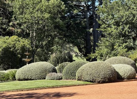 CHARTWELL ESTATE, BOWRAL188