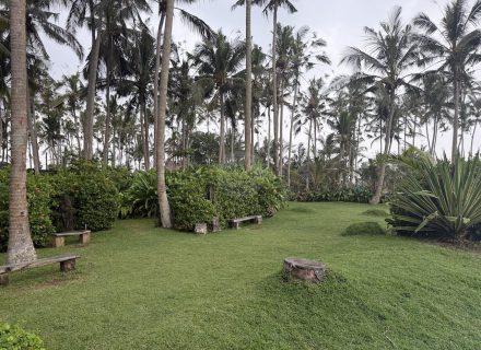 kitchen dining space living room outdoor area bathroom bedroom Childrens home office laundry