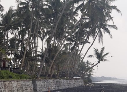 facade garage driveway backyard