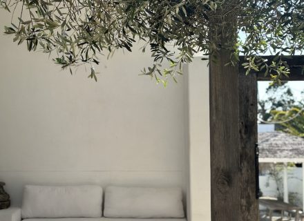 CYPRUS HOUSE, Byron Hinterland449