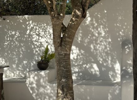 CYPRUS HOUSE, Byron Hinterland456
