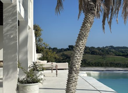 CYPRUS HOUSE, Byron Hinterland465