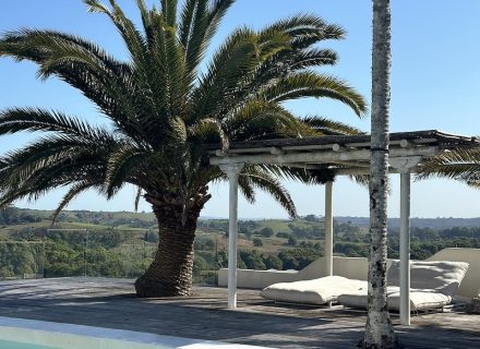 CYPRUS HOUSE, Byron Hinterland466