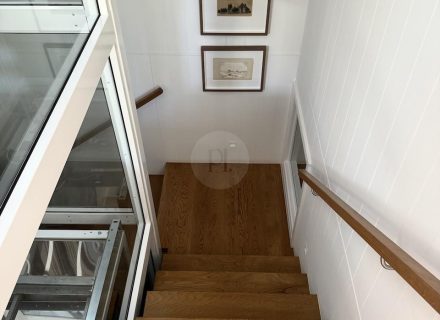 Cadence, Paddington 12