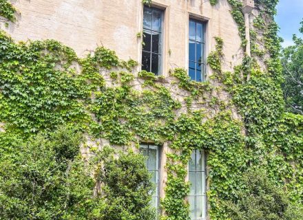 Canaletto, Bellevue Hill 2