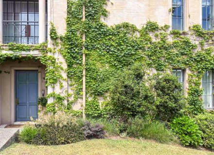 Canaletto, Bellevue Hill 4