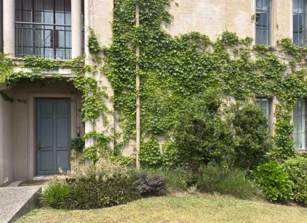 Canaletto, Bellevue Hill - 7