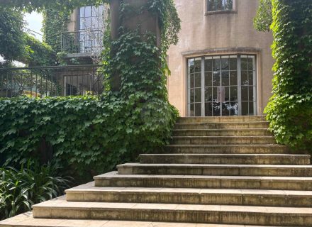 Canaletto, Bellevue Hill - 9