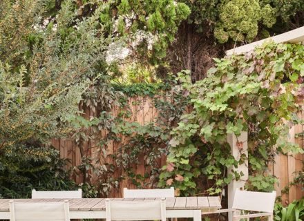 outdoor area garden established