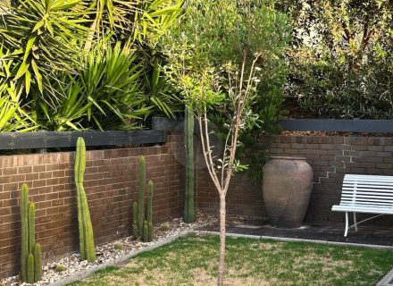 backyard garden established