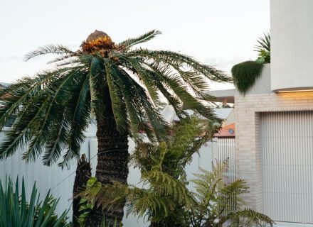 Casa Amara, Palm Beach-6