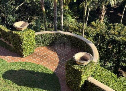 Casa Rosa, Rose Bay-03