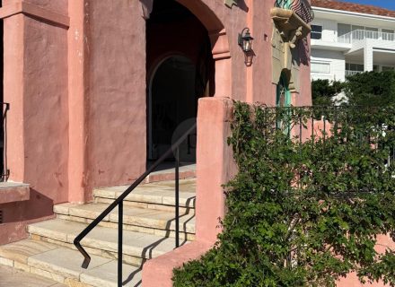 Casa Rosa, Rose Bay-32