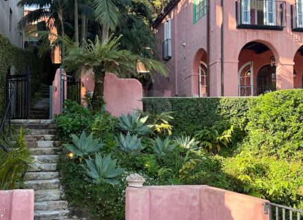 Casa Rosa, Rose Bay-35