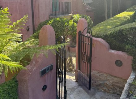 Casa Rosa, Rose Bay-59